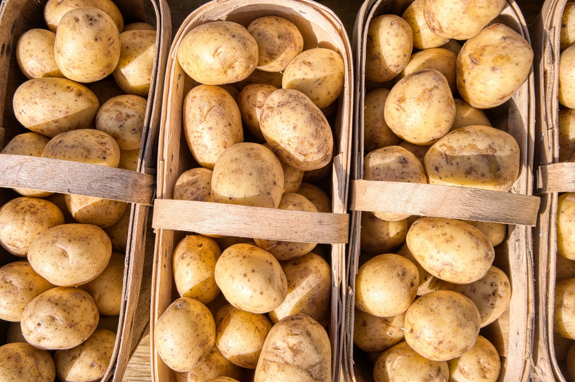 Bảo quản khoai tây trong túi giấy hoặc bát 